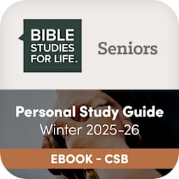 eBook, CSB - Christian Standard (currently selected)