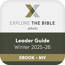 eBook, NIV - New International