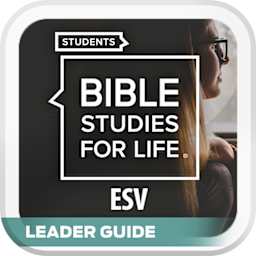 ESV - English Standard, eBook