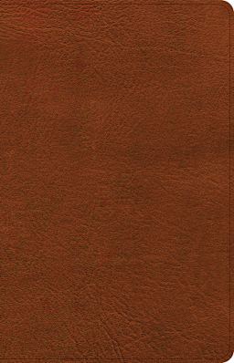 Burnt Sienna (See Available Options)