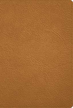 Caramel/Mahogany (See Available Options)