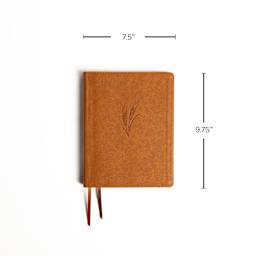 Product thumbnail 7