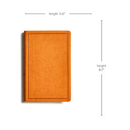 Product thumbnail 6