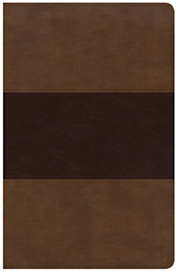 Saddle Brown