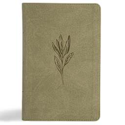 Sage (See Available Options)