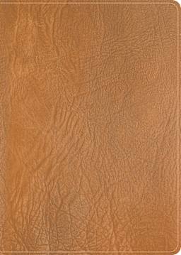 Saddle Brown (See Available Options)