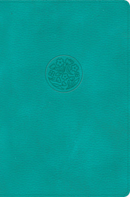 Teal (See Available Options)