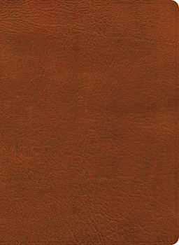 Burnt Sienna (See Available Options)