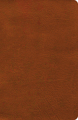 Burnt Sienna (See Available Options)