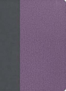 Gray/Lavender