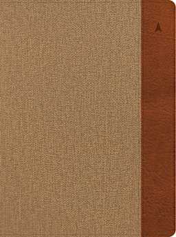 Khaki/Brown