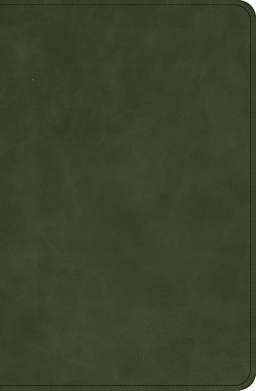 Marbled Olive
