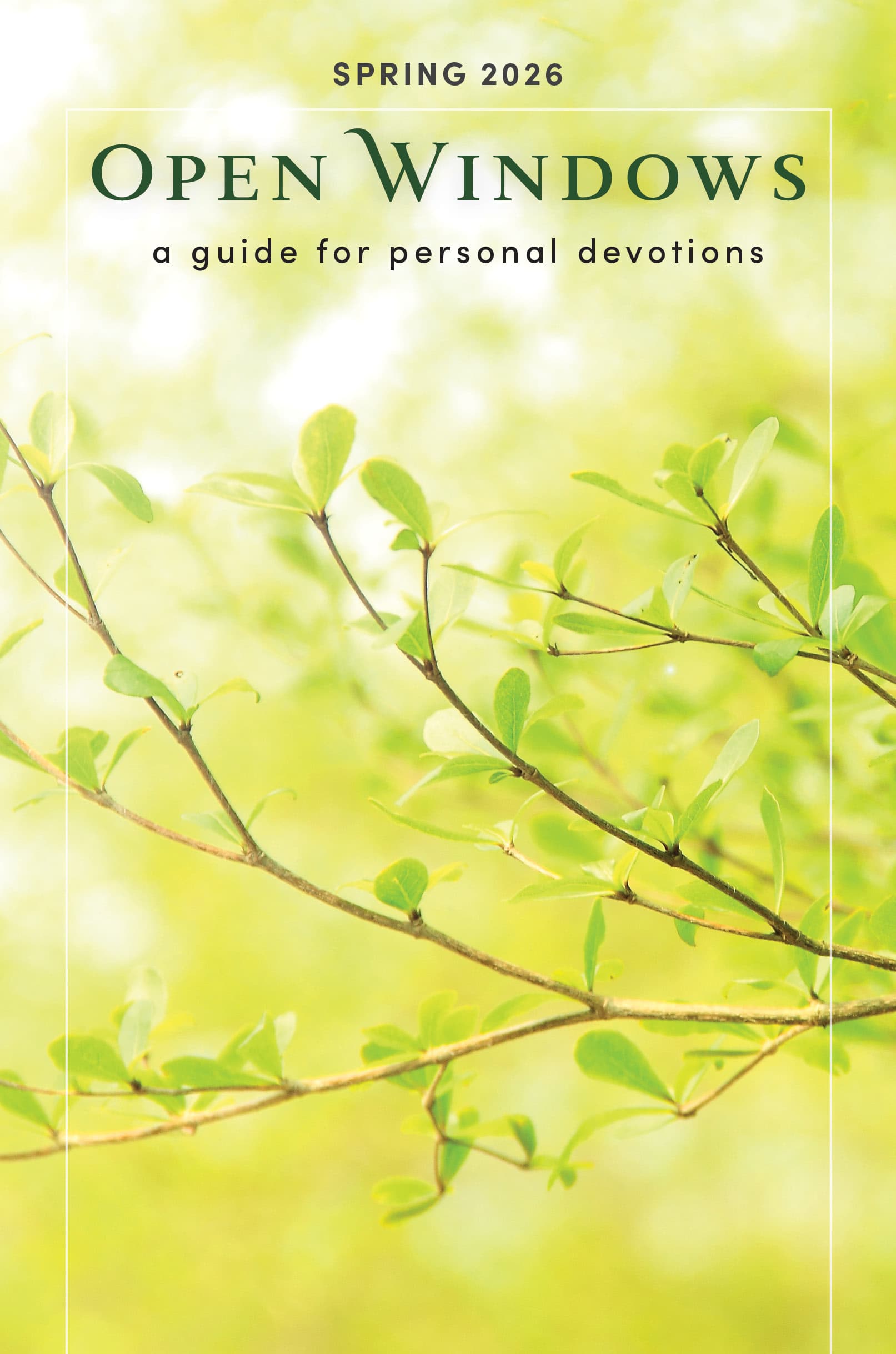 Open Windows - Spring 2026 | Lifeway