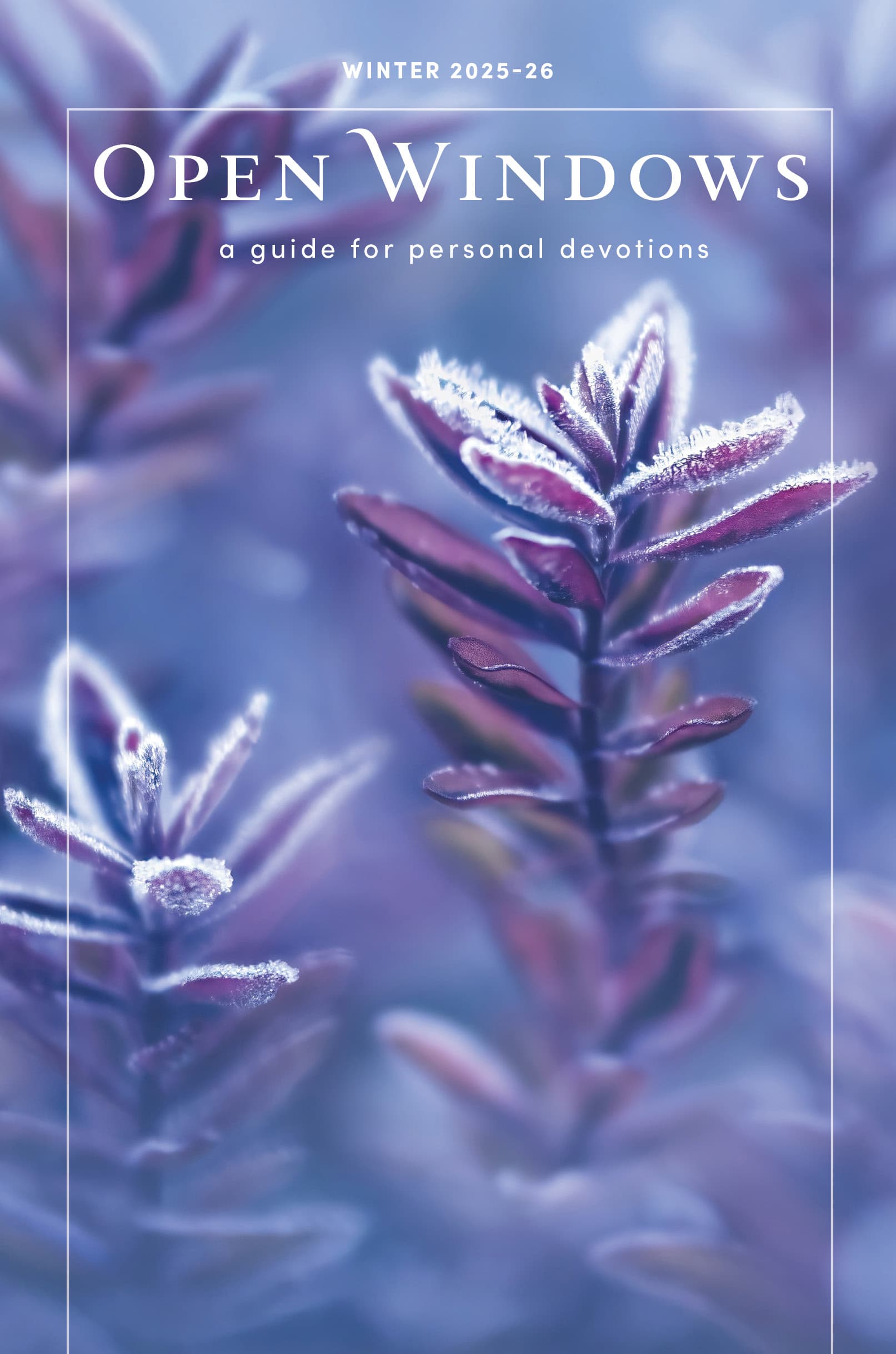 Open Windows - Winter 2026