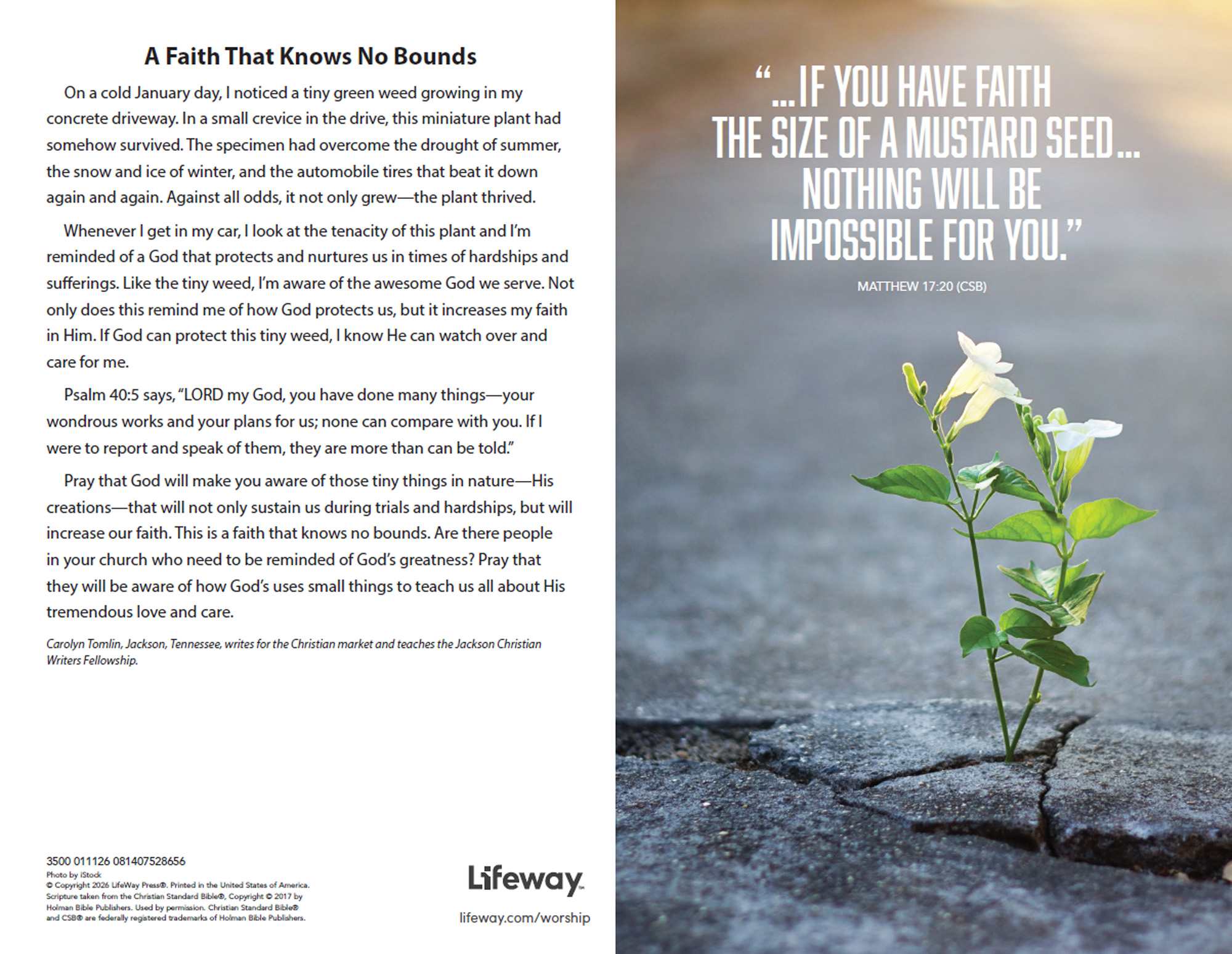 SBC Emphasis Bulletin - 01/11/26