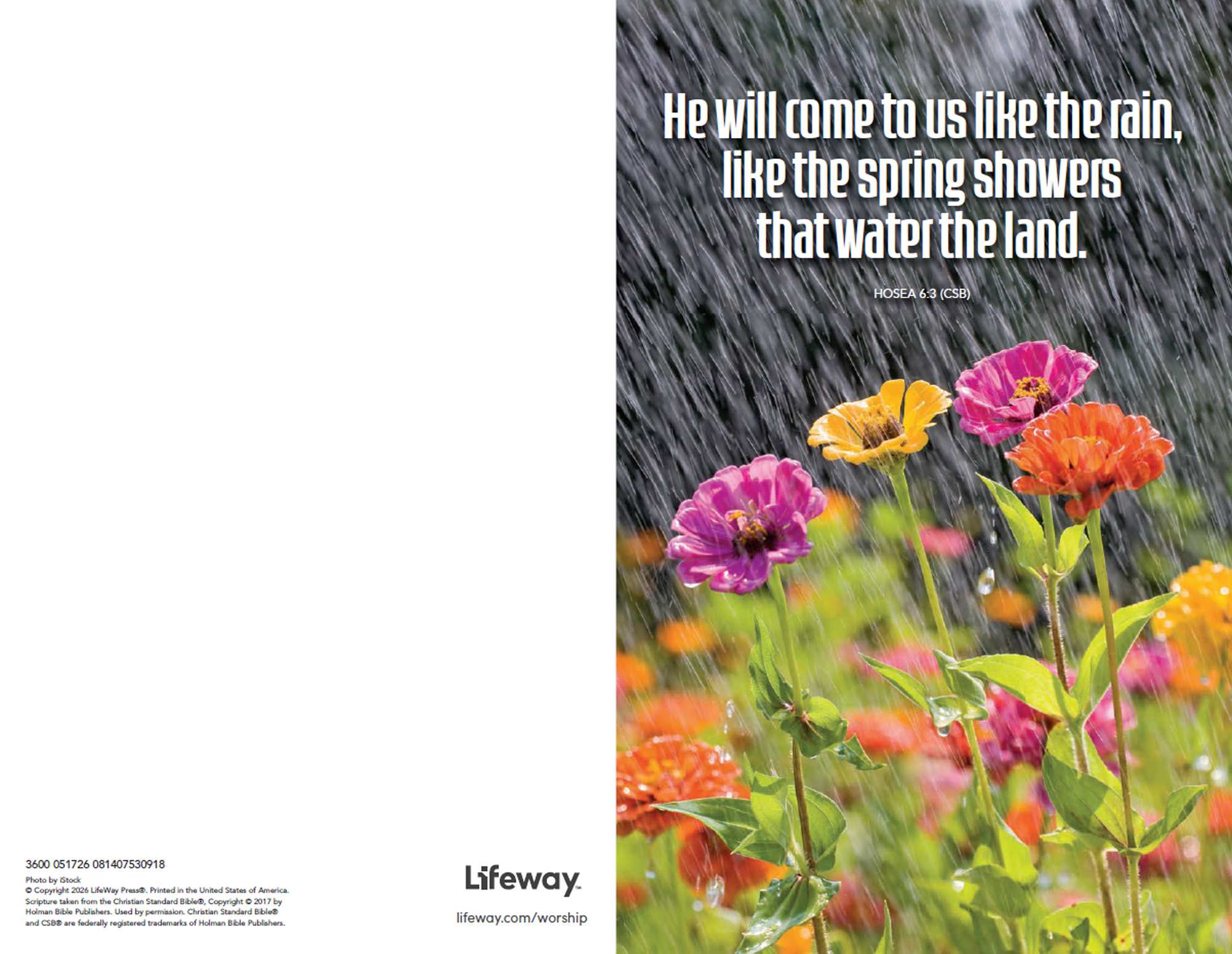 Opportunity Bulletin - 05/17/26