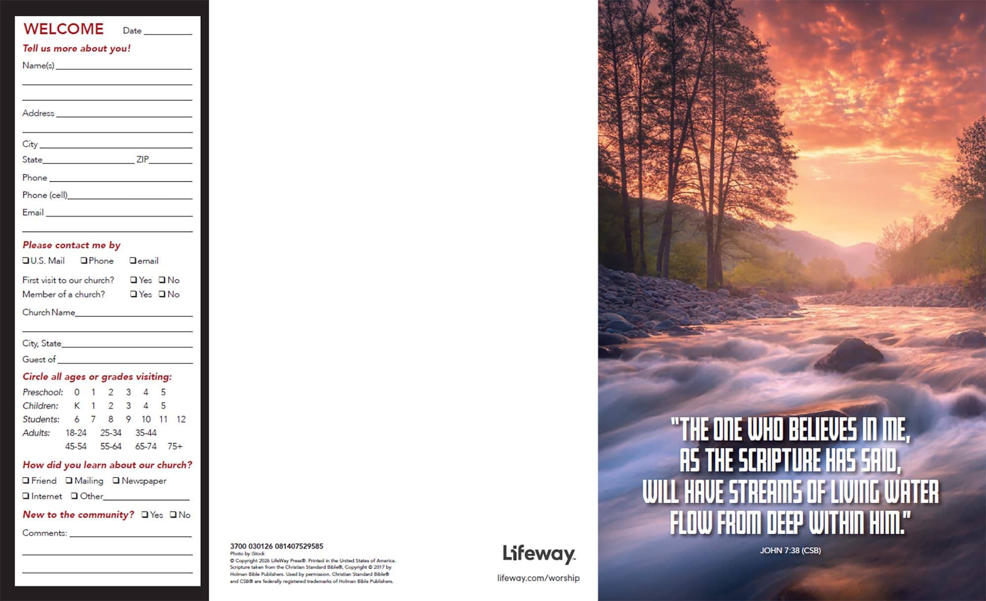 Response Bulletin - 03/01/26