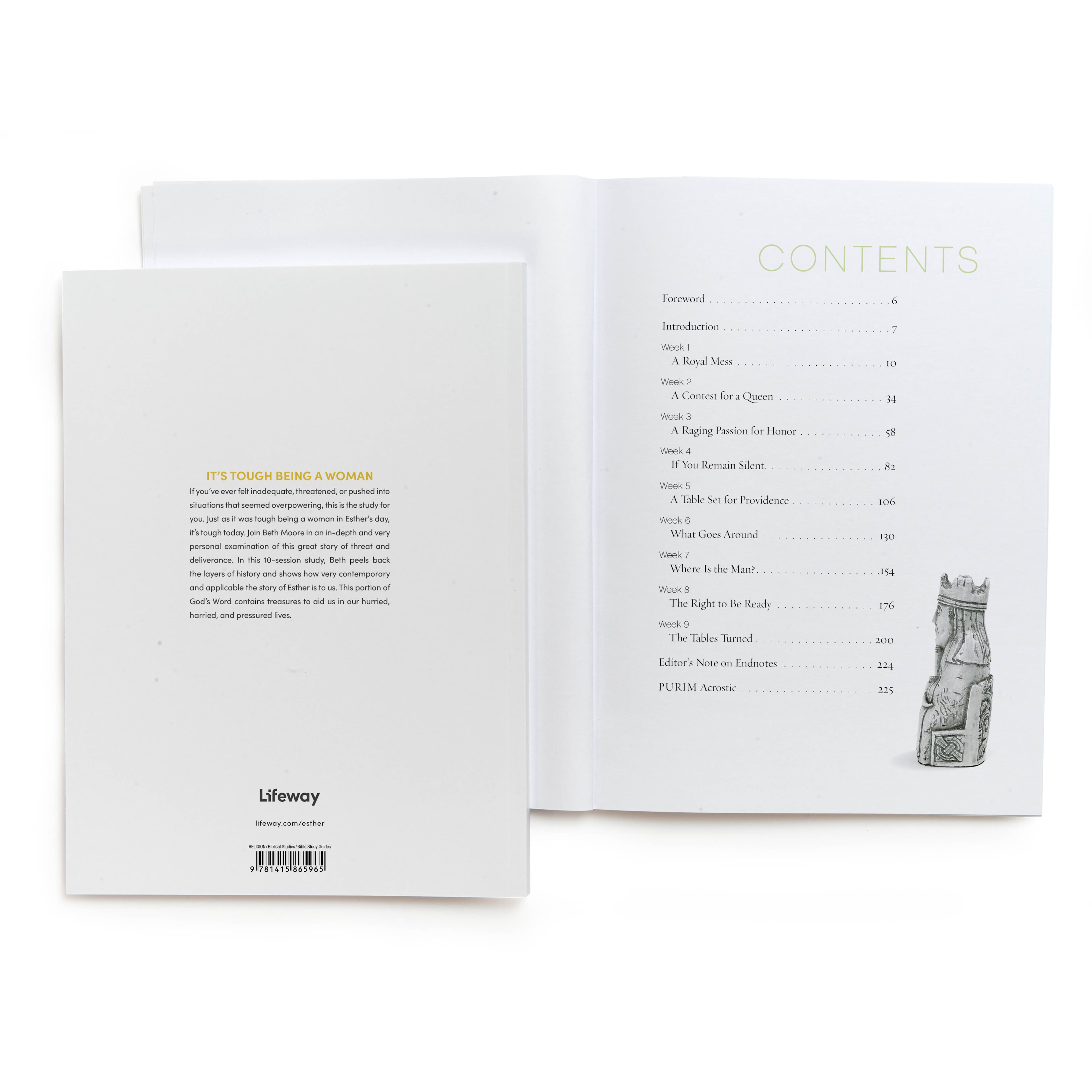 slide 3 of 4 for Esther - Bible Study Book