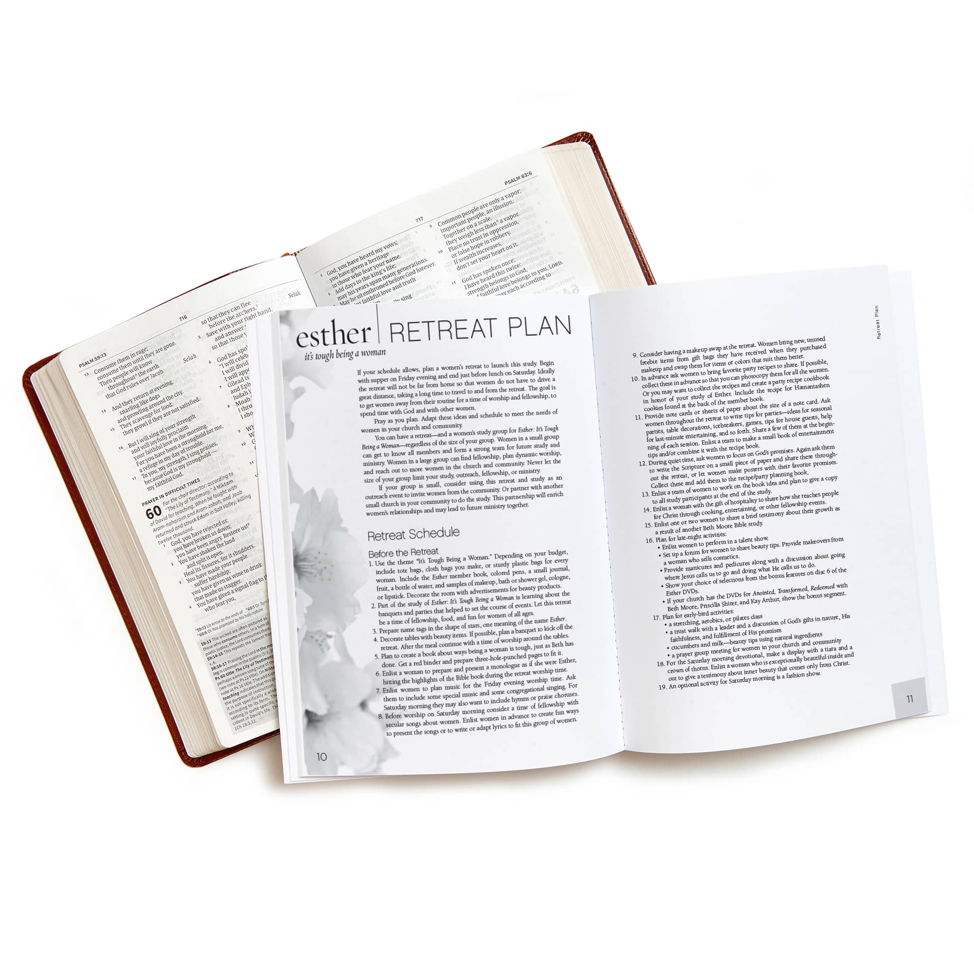 slide 4 of 4 for Esther - Bible Study Book