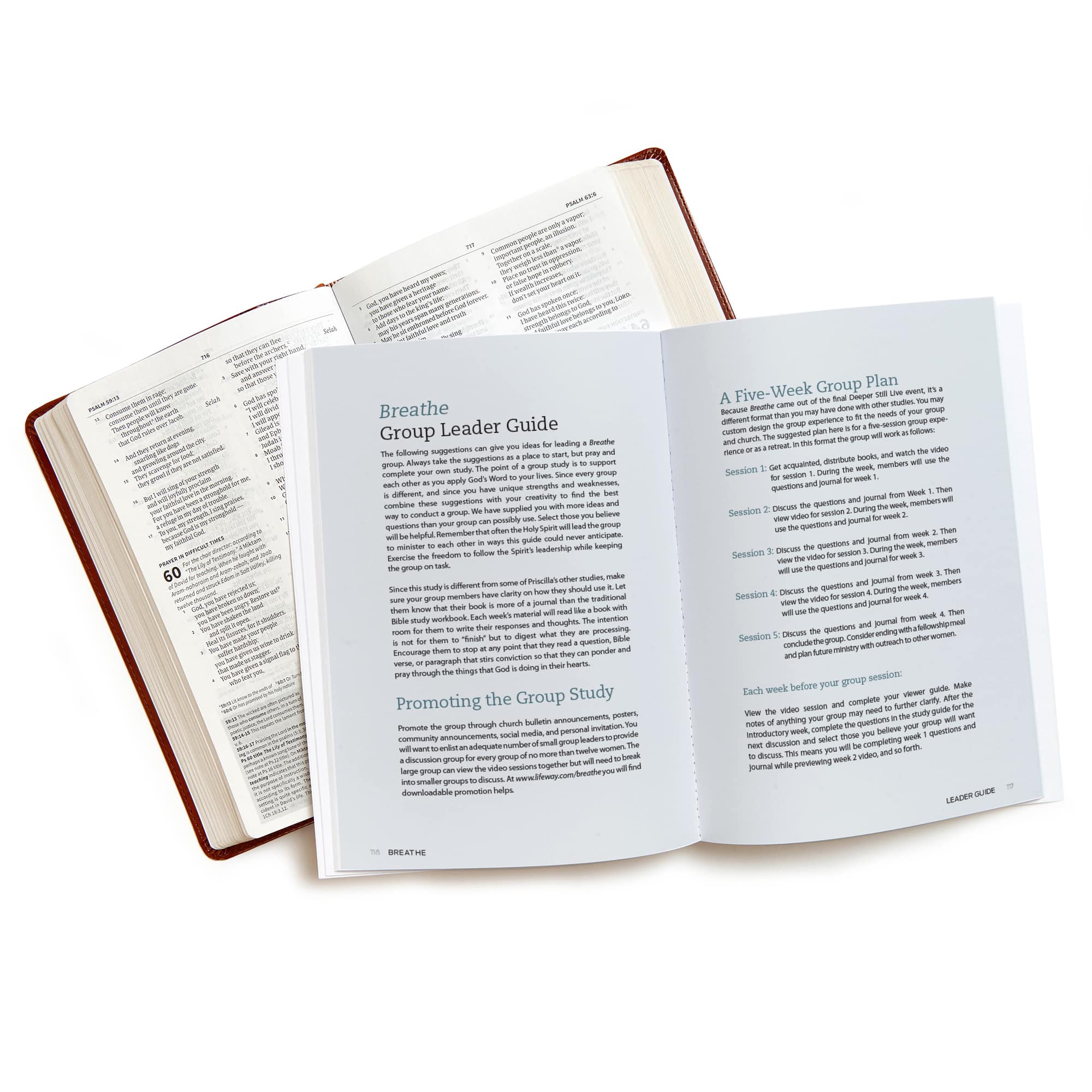 slide 6 of 7 for Breathe - Bible Study Leader Kit