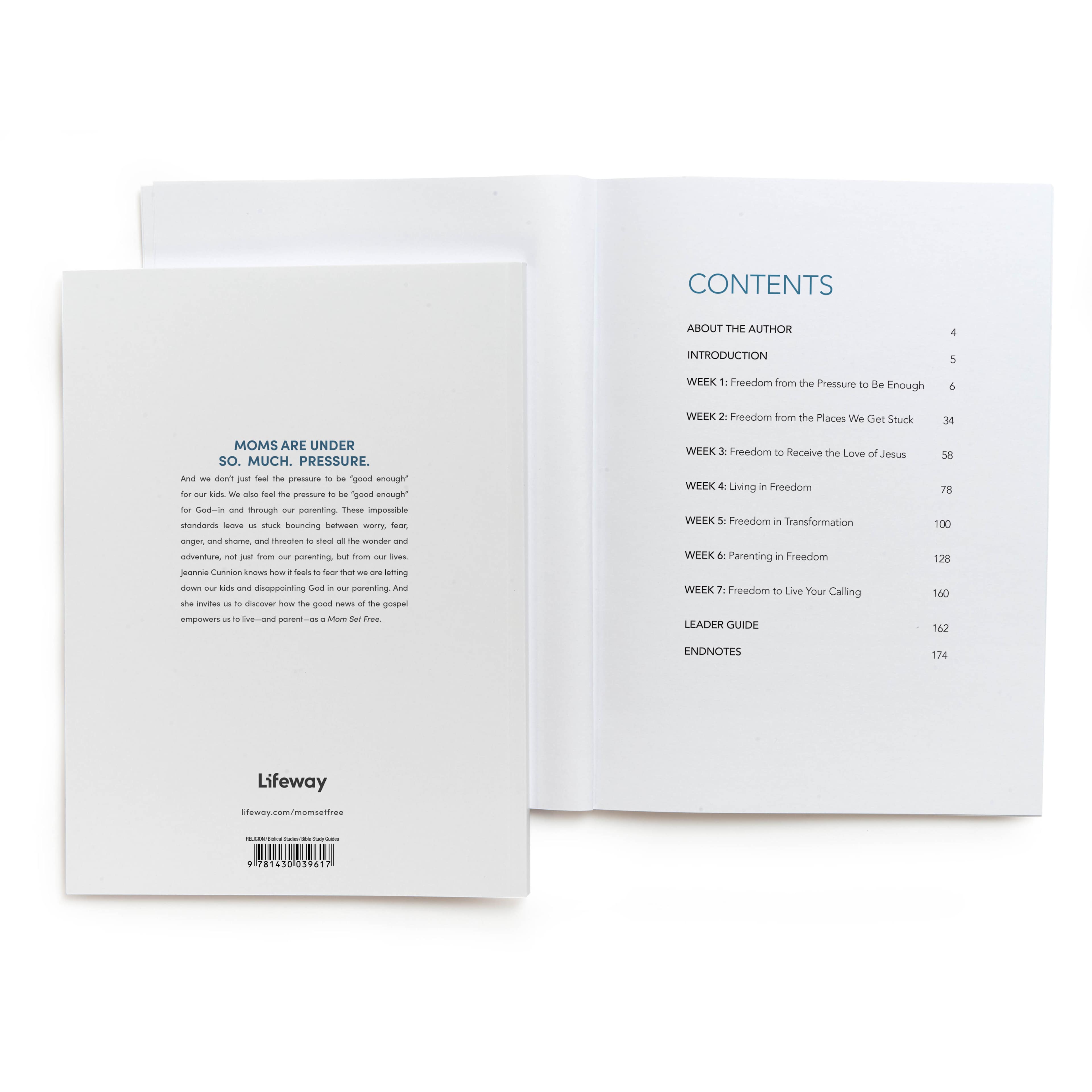 slide 3 of 5 for Mom Set Free -  Bible Study Book