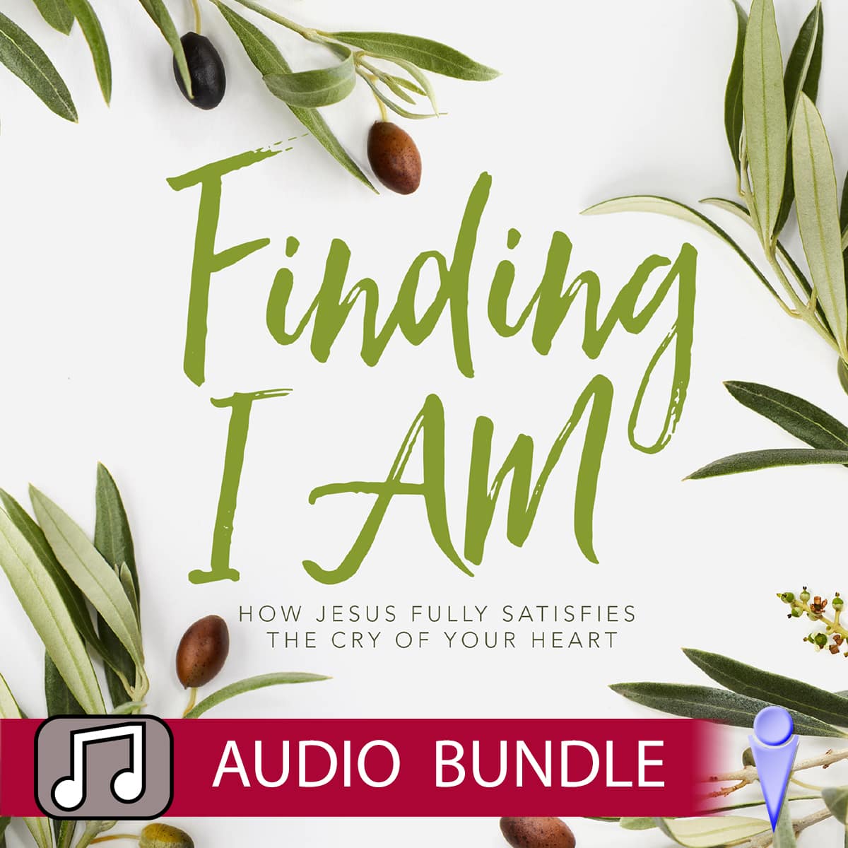 Finding I AM - Audio Bundle