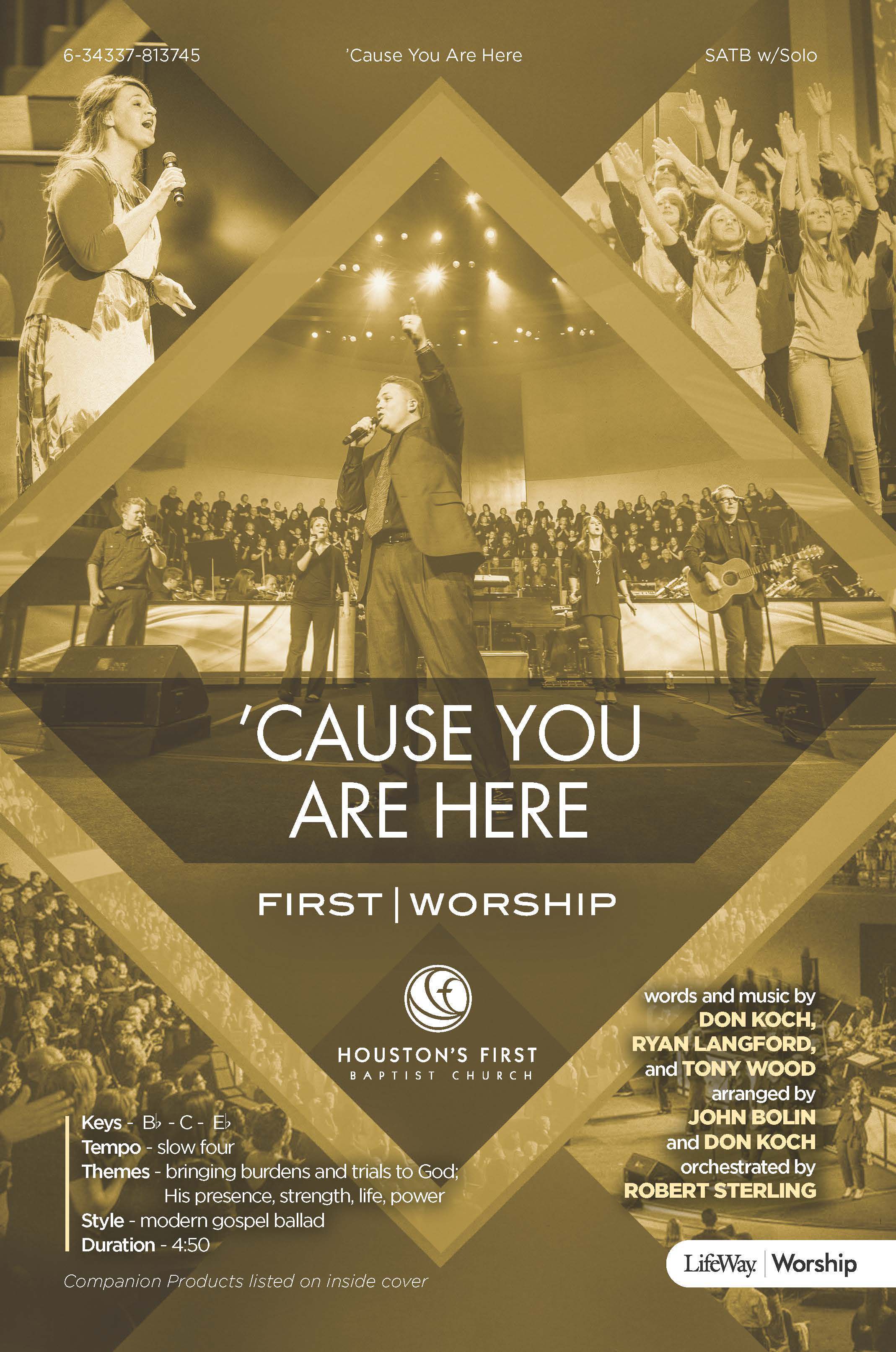 'Cause You Are Here - Downloadable Stem Tracks
