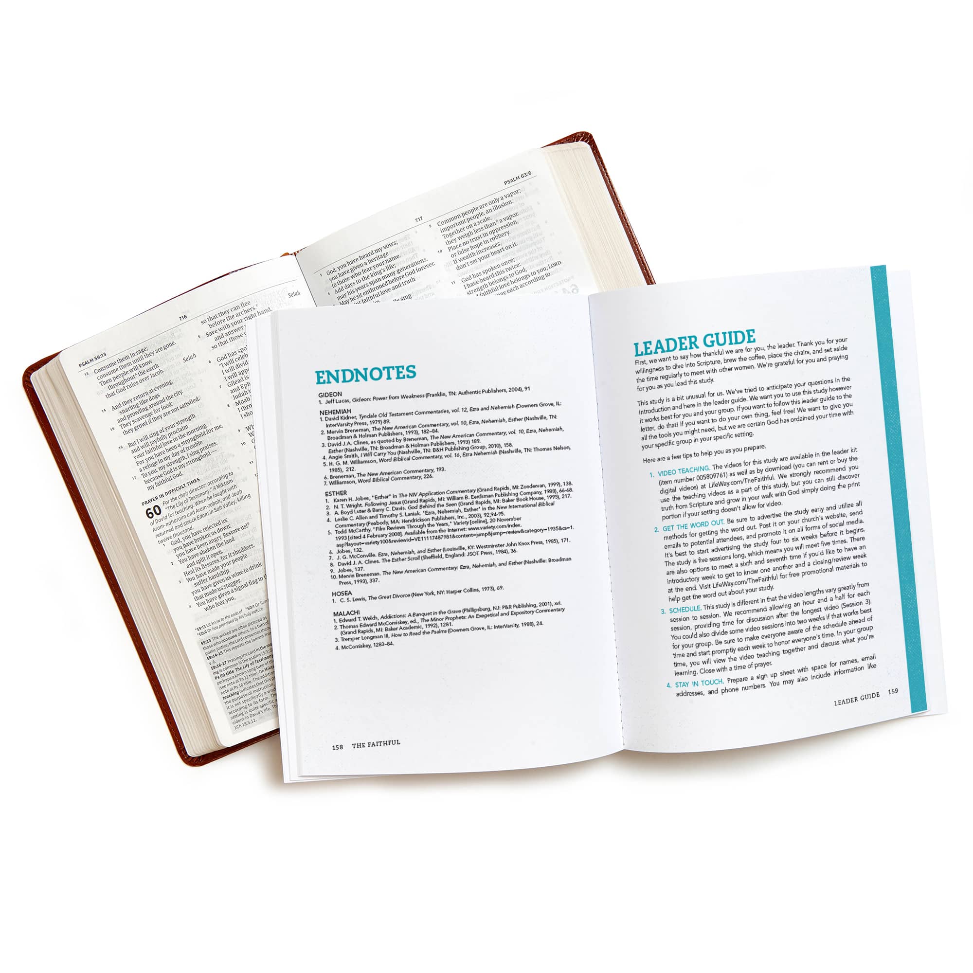 slide 6 of 7 for The Faithful - Leader Kit