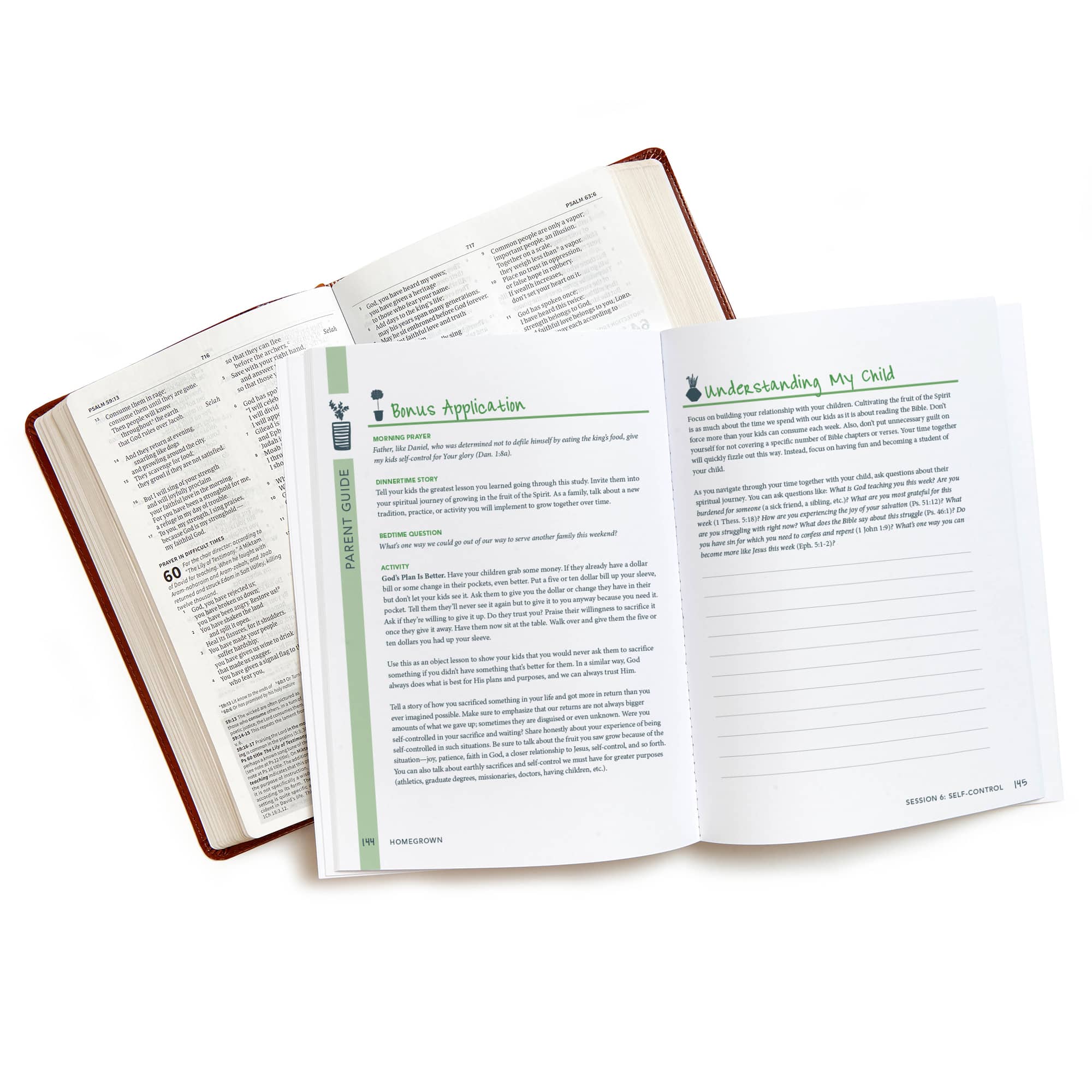 slide 4 of 4 for Homegrown - Bible Study Book