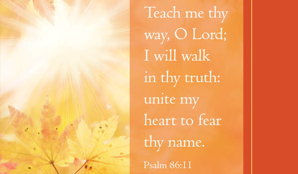 slide 1 of 7 for Digital Church Graphics Package - November 1