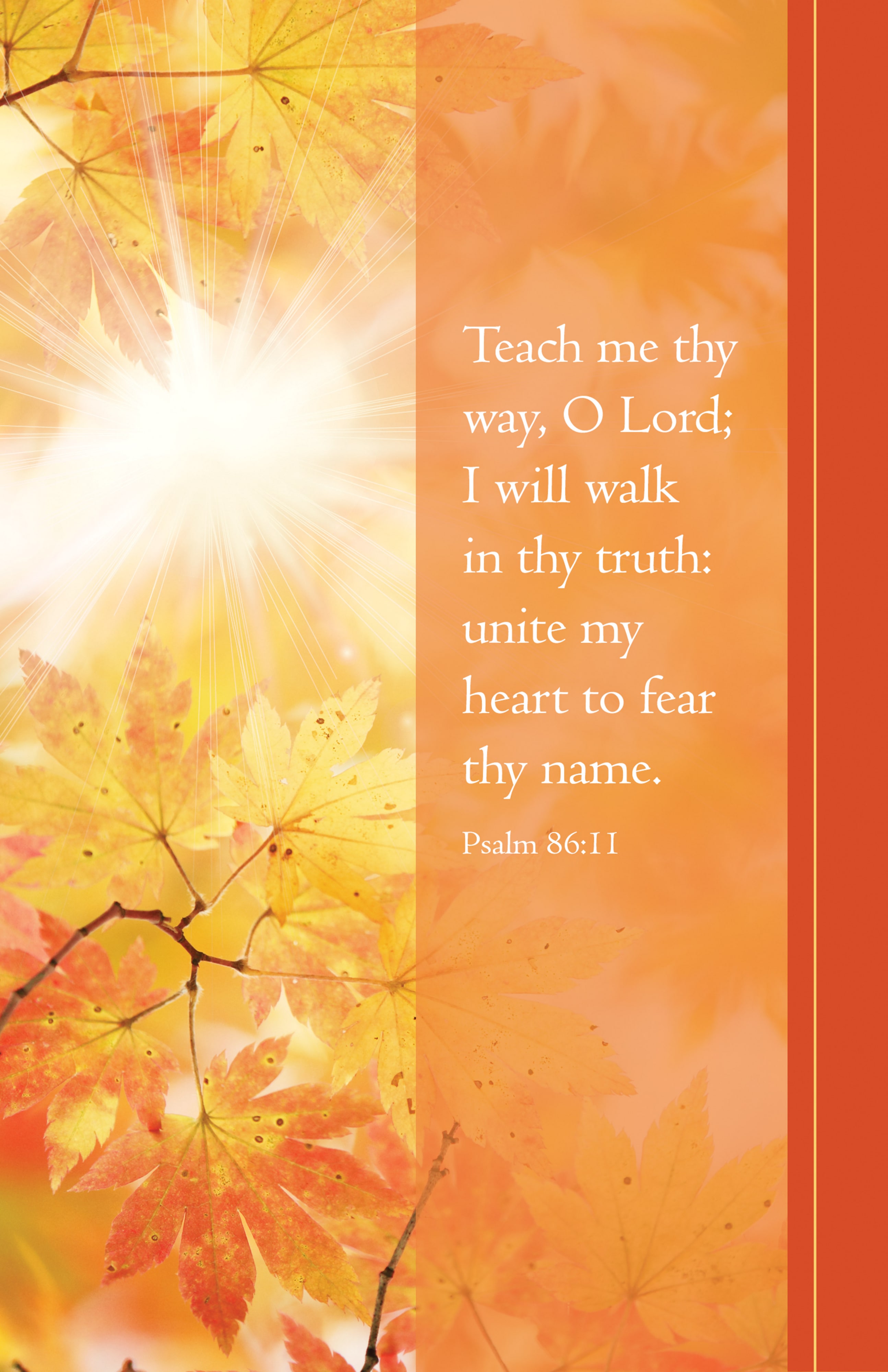 slide 3 of 7 for Digital Church Graphics Package - November 1