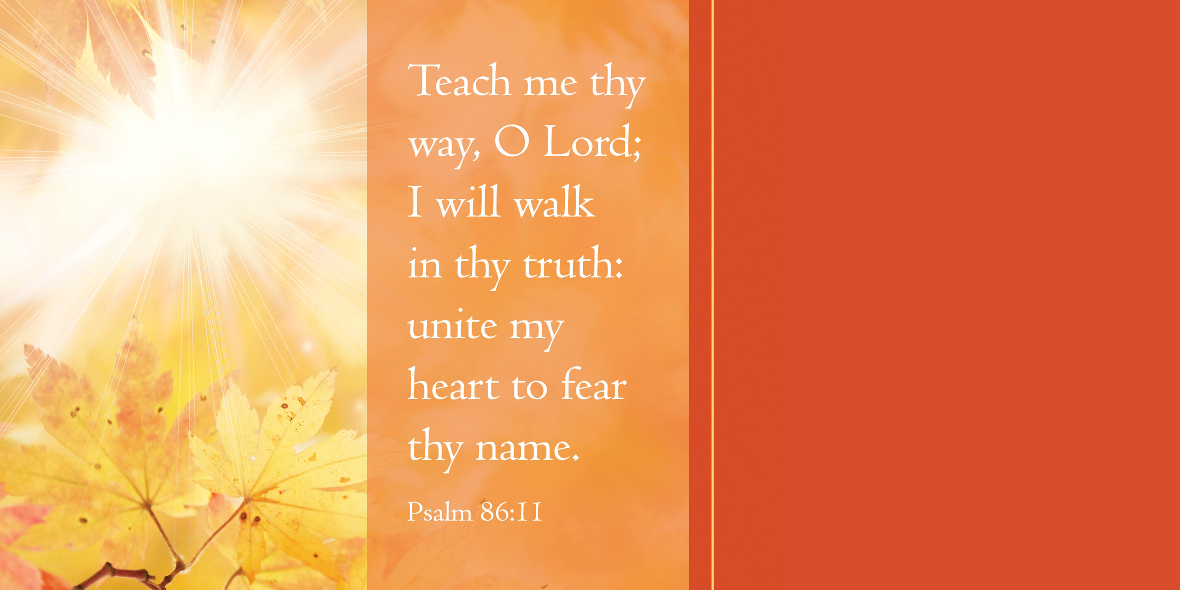 slide 4 of 7 for Digital Church Graphics Package - November 1