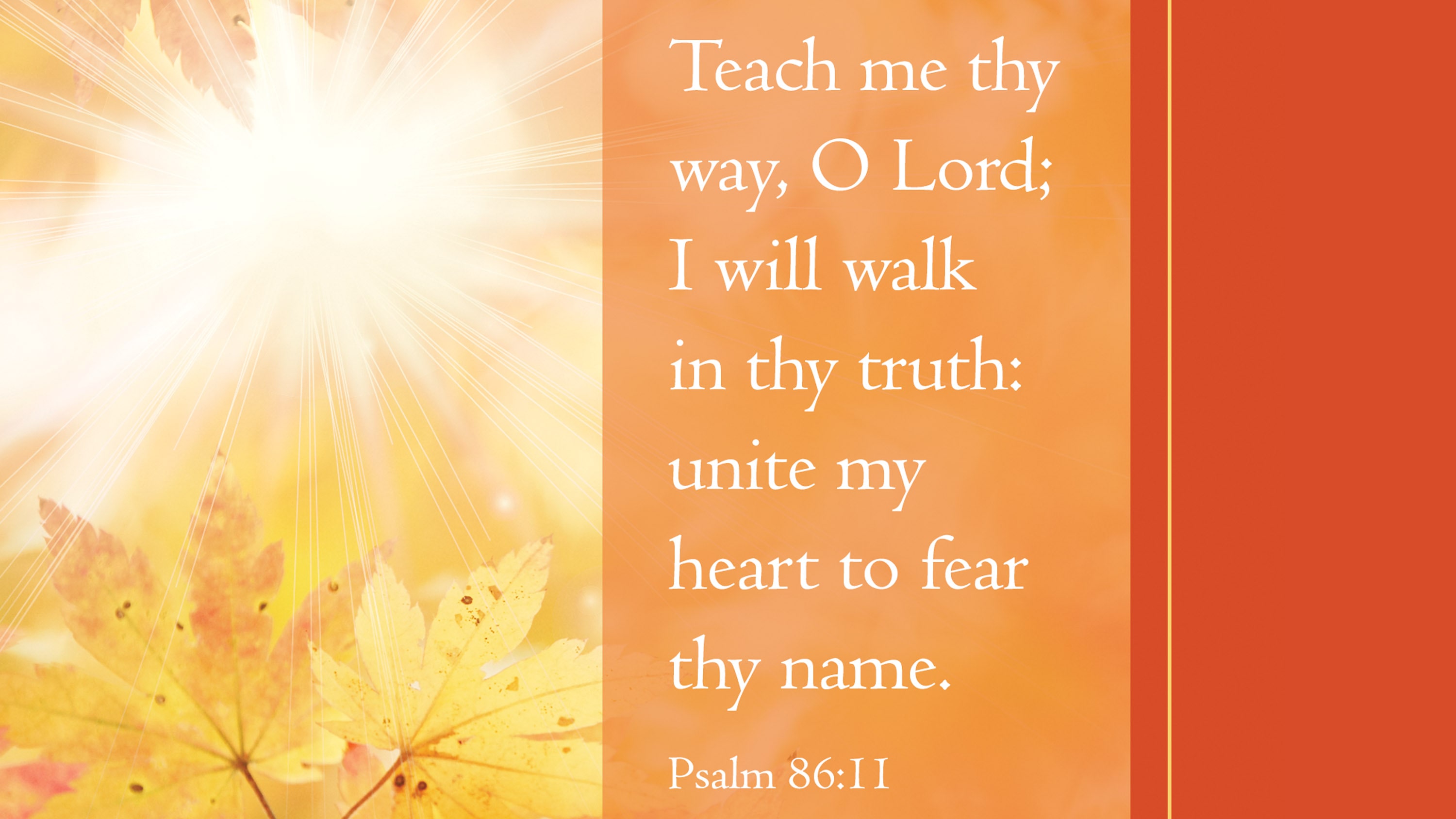 slide 5 of 7 for Digital Church Graphics Package - November 1