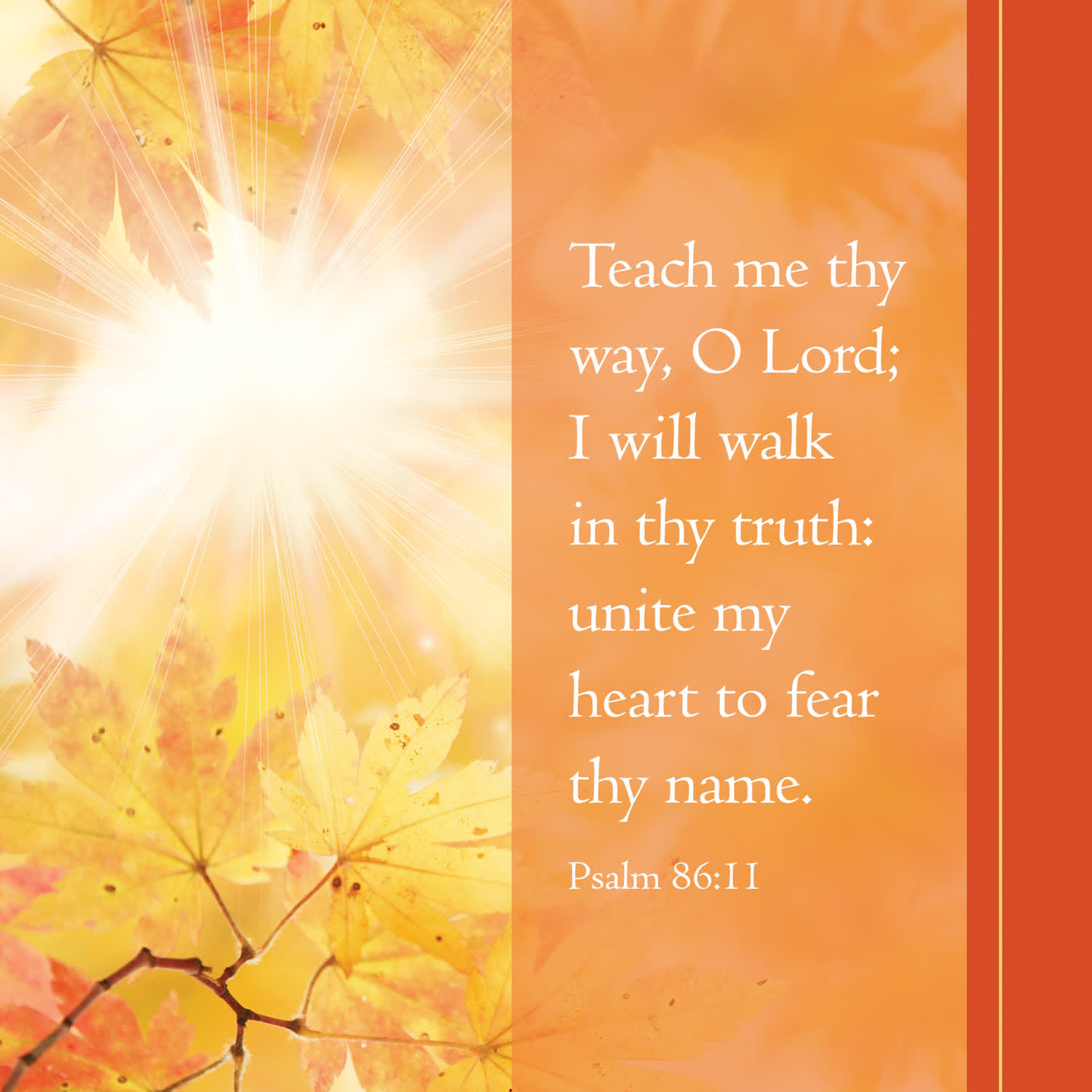 slide 6 of 7 for Digital Church Graphics Package - November 1