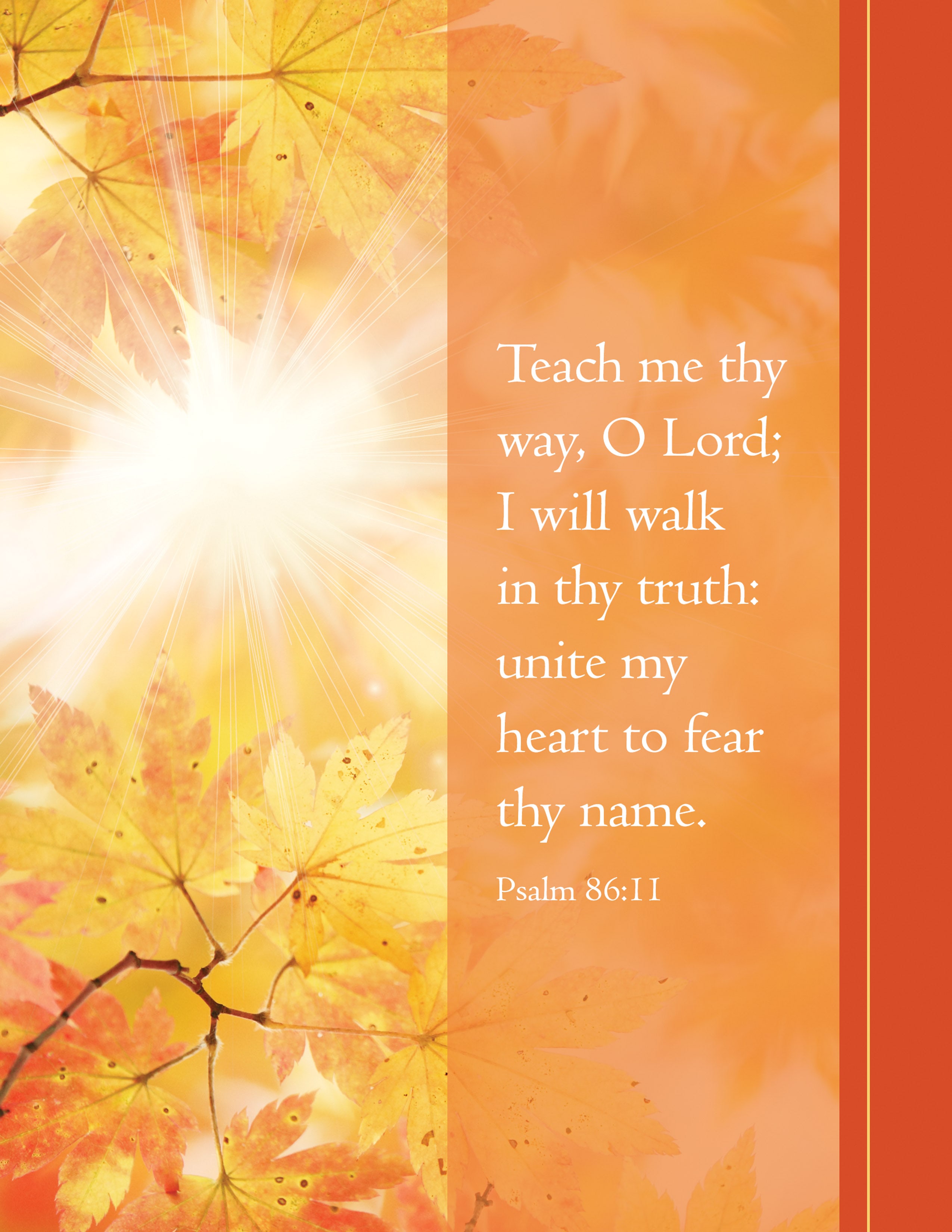 slide 7 of 7 for Digital Church Graphics Package - November 1