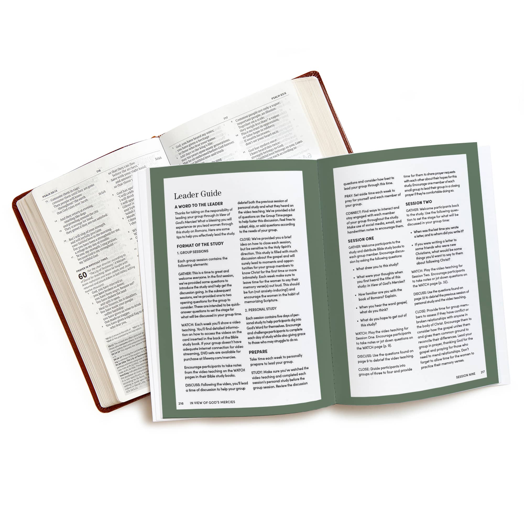 slide 4 of 4 for In View of God's Mercies - Bible Study Book with Video Access