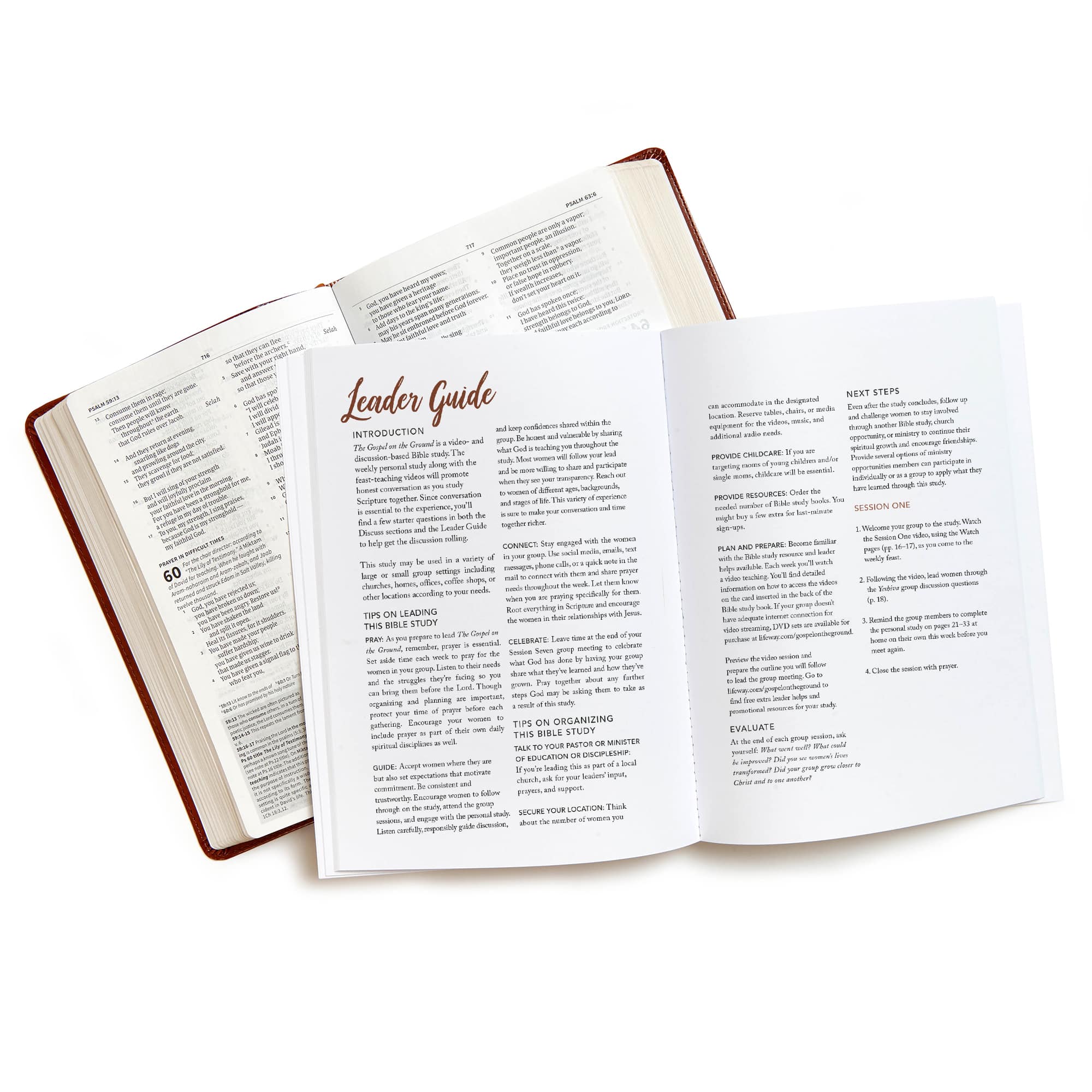 slide 4 of 4 for The Gospel on the Ground - Bible Study Book with Video Access