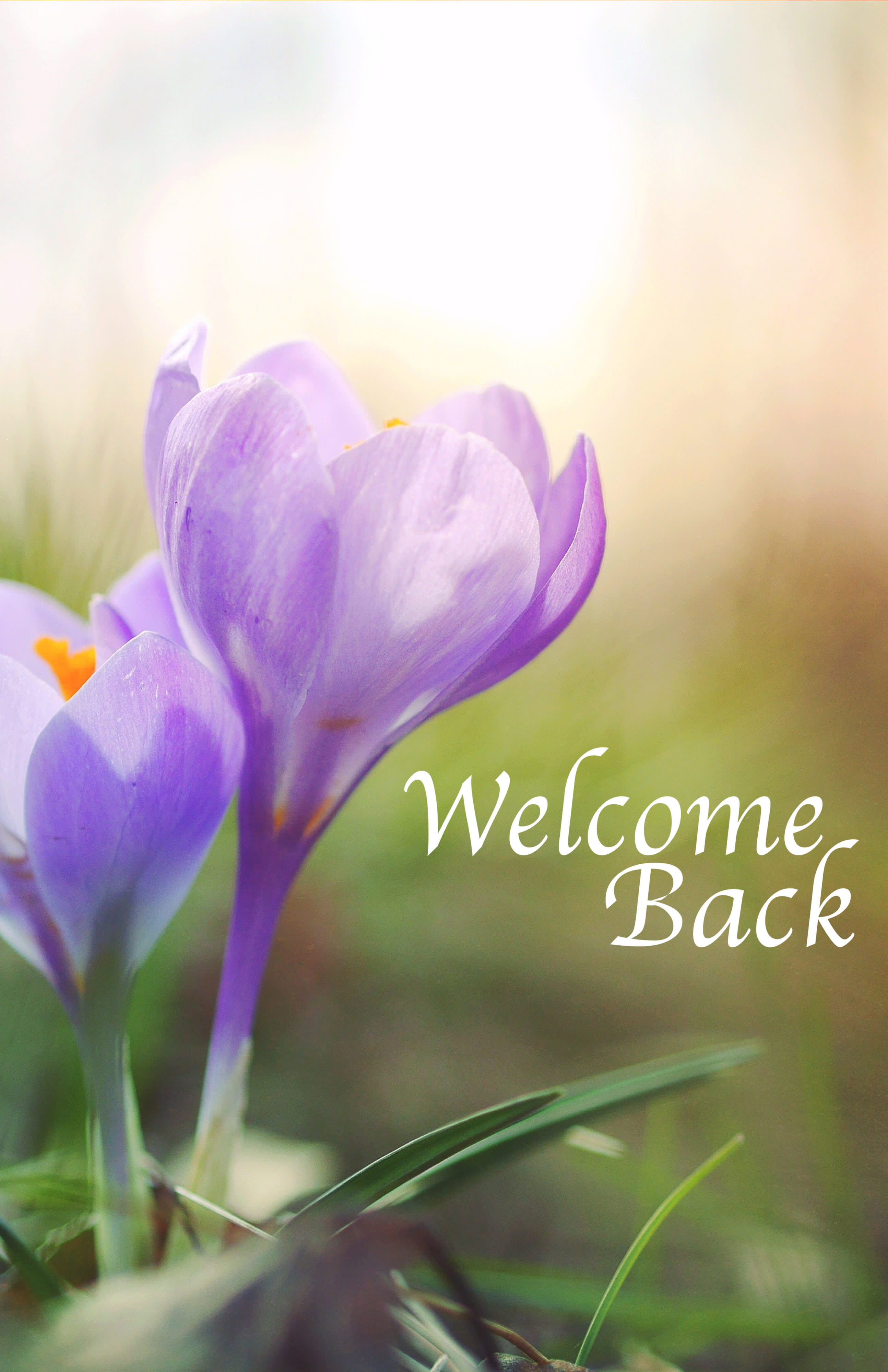 slide 4 of 10 for Digital Church Graphics Package - Welcome Back - 4