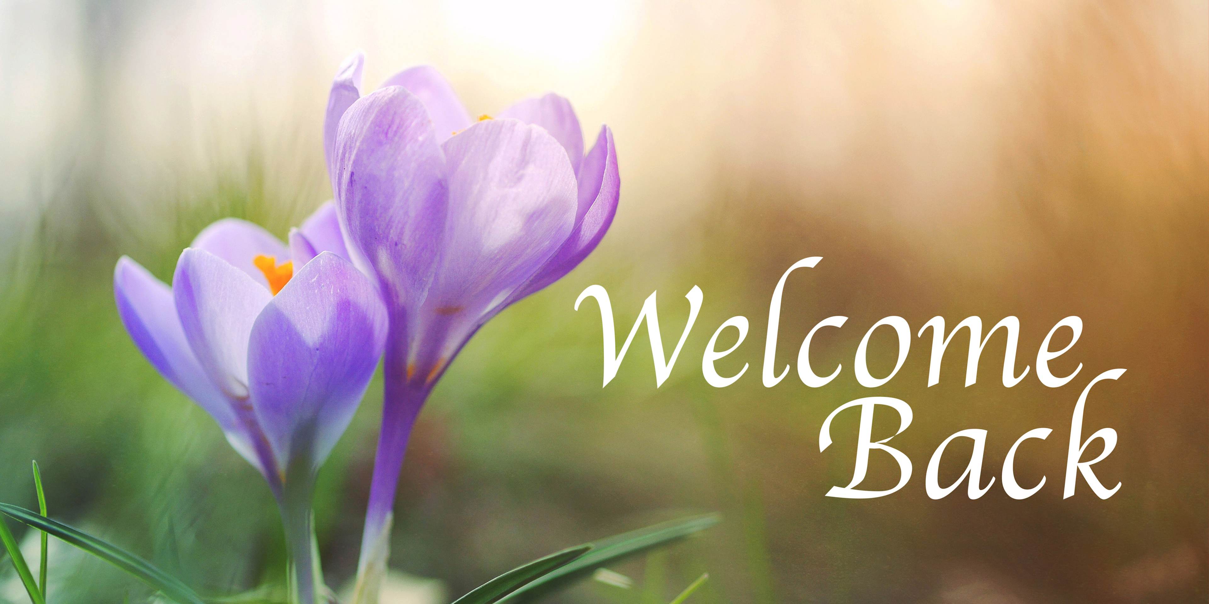 slide 5 of 10 for Digital Church Graphics Package - Welcome Back - 4