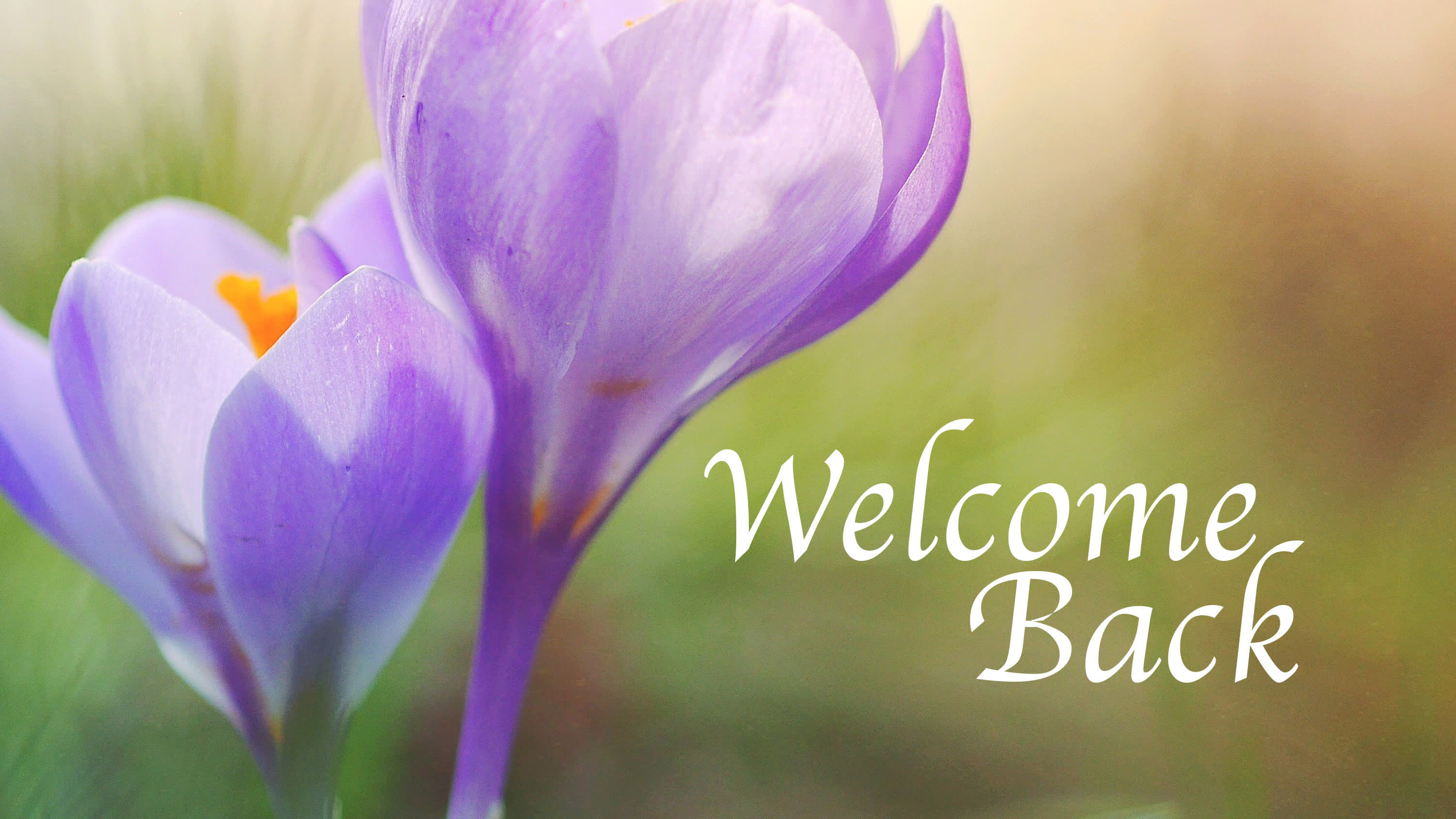 slide 6 of 10 for Digital Church Graphics Package - Welcome Back - 4
