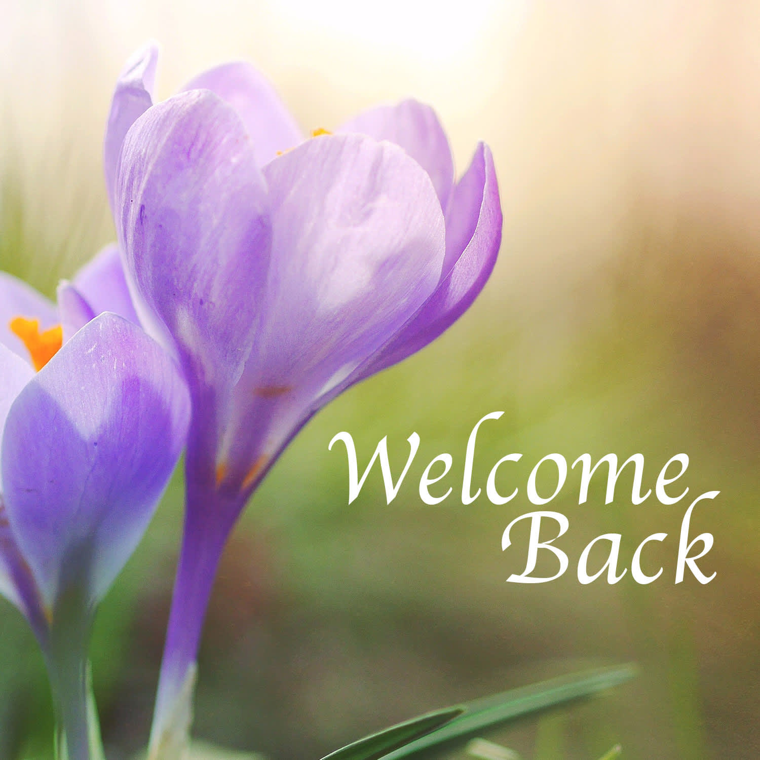 slide 7 of 10 for Digital Church Graphics Package - Welcome Back - 4