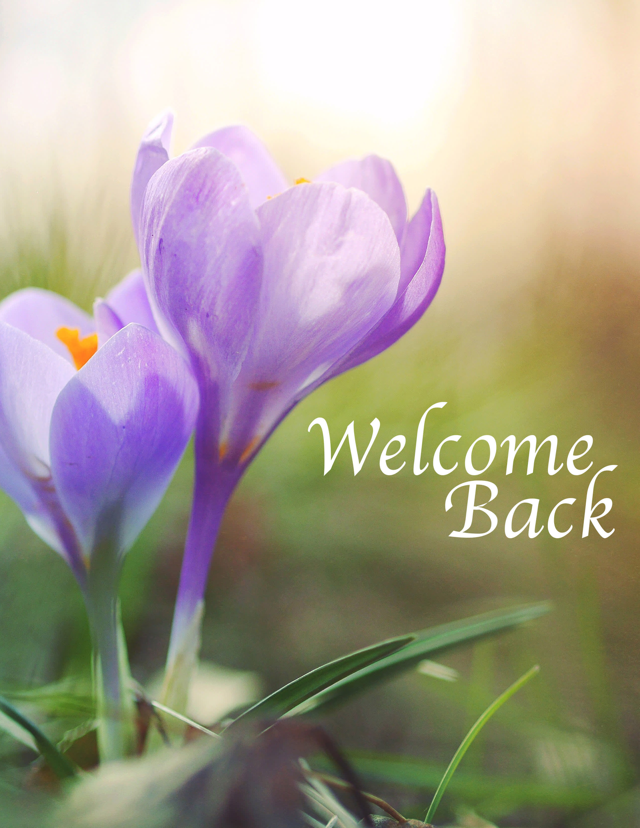 slide 8 of 10 for Digital Church Graphics Package - Welcome Back - 4