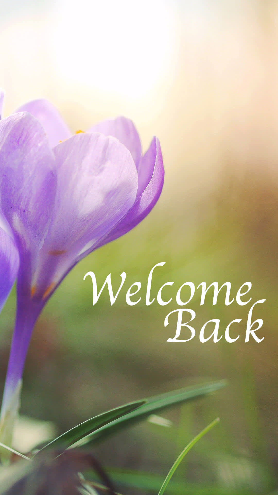 slide 9 of 10 for Digital Church Graphics Package - Welcome Back - 4