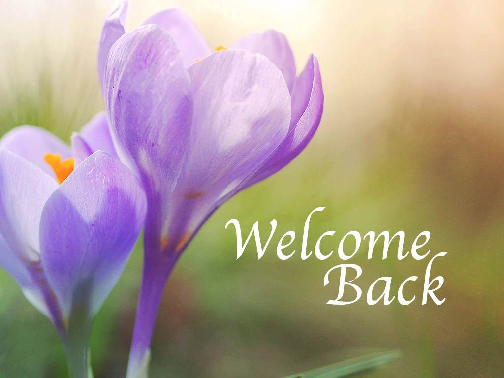 slide 10 of 10 for Digital Church Graphics Package - Welcome Back - 4