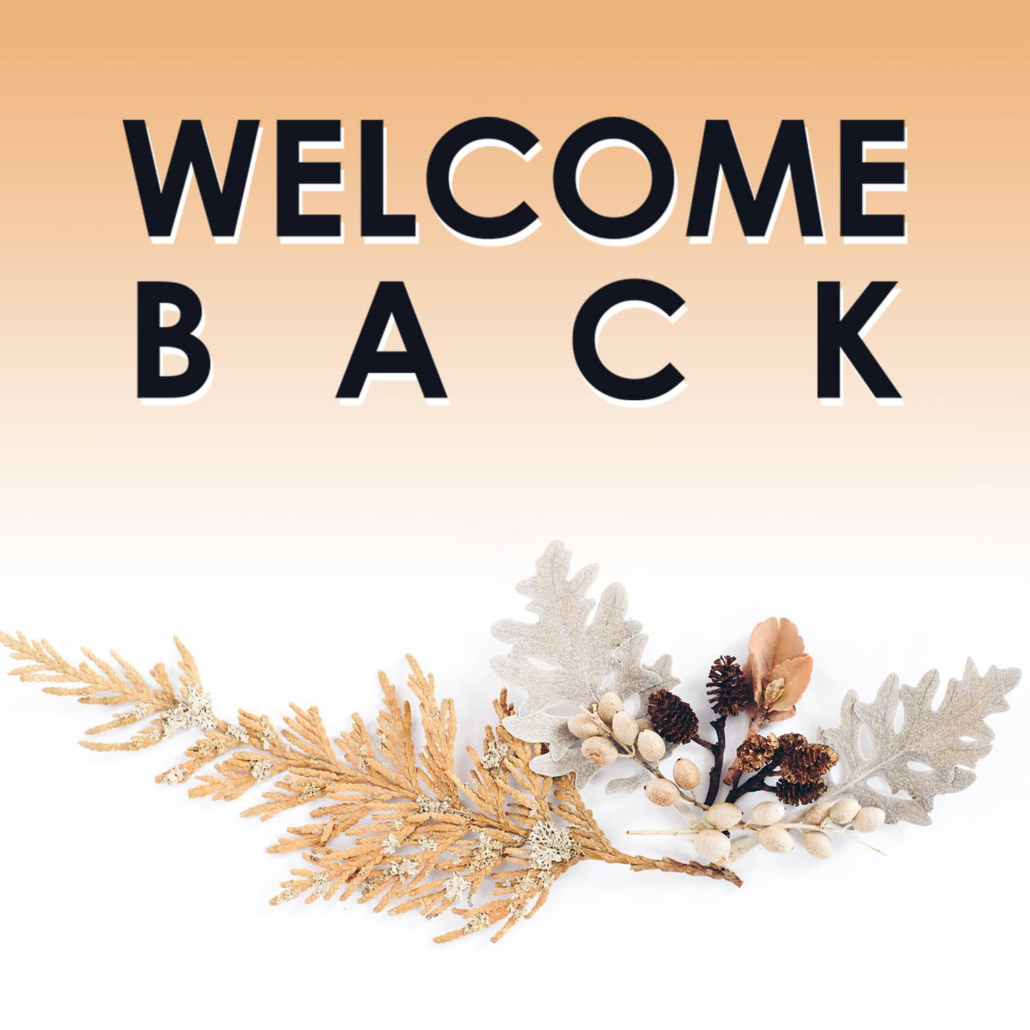 slide 5 of 11 for Digital Church Graphics Package - Welcome Back - 5