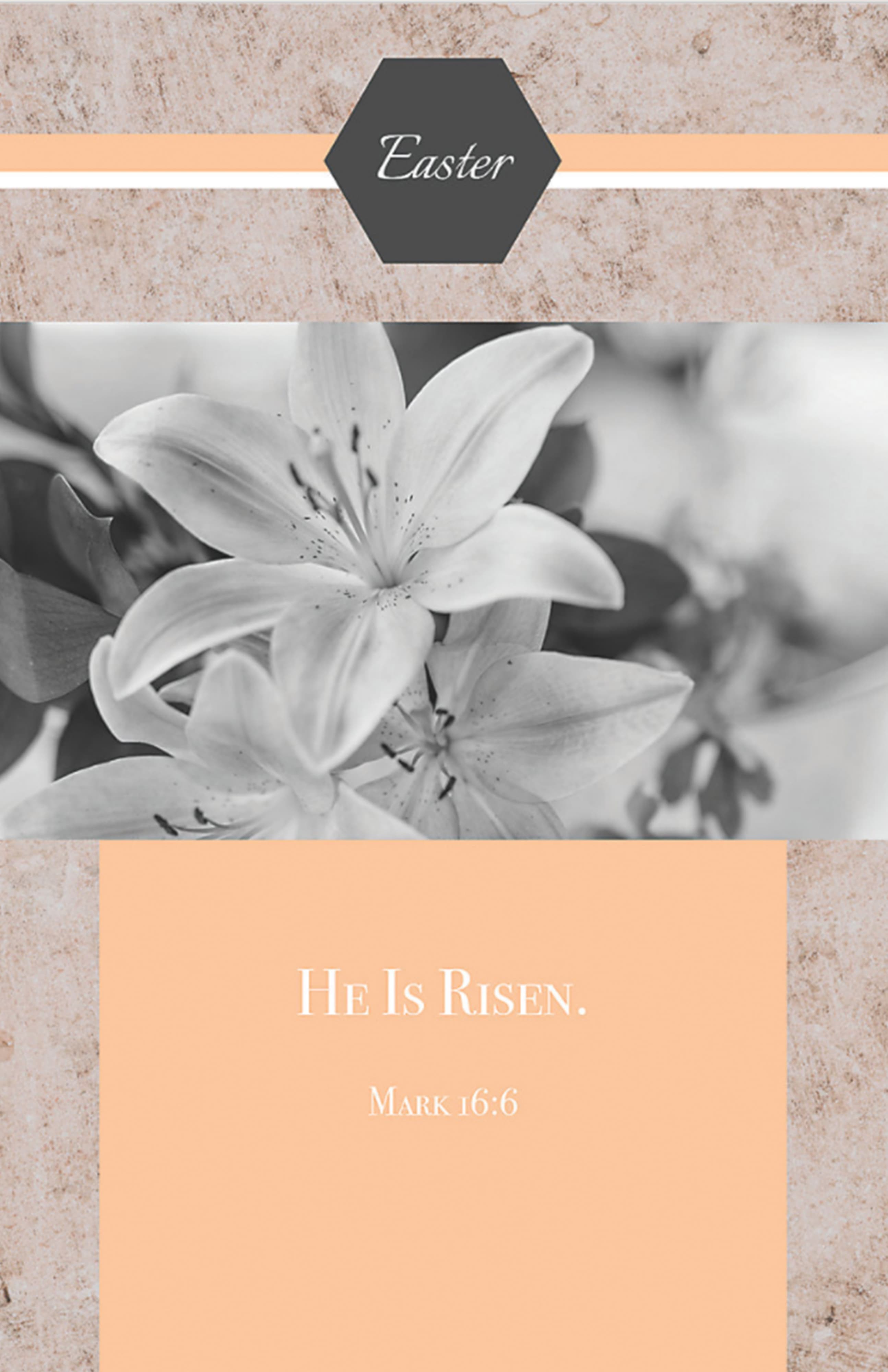 slide 4 of 10 for Digital Church Graphics Package - Lent/Easter  1