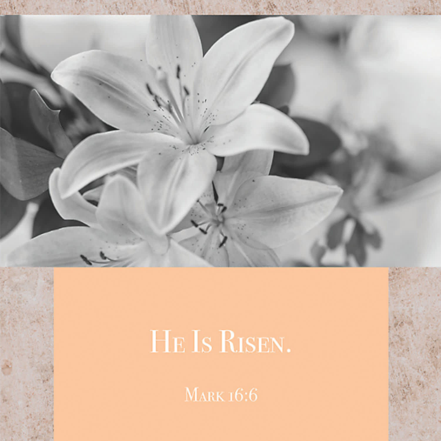 slide 7 of 10 for Digital Church Graphics Package - Lent/Easter  1