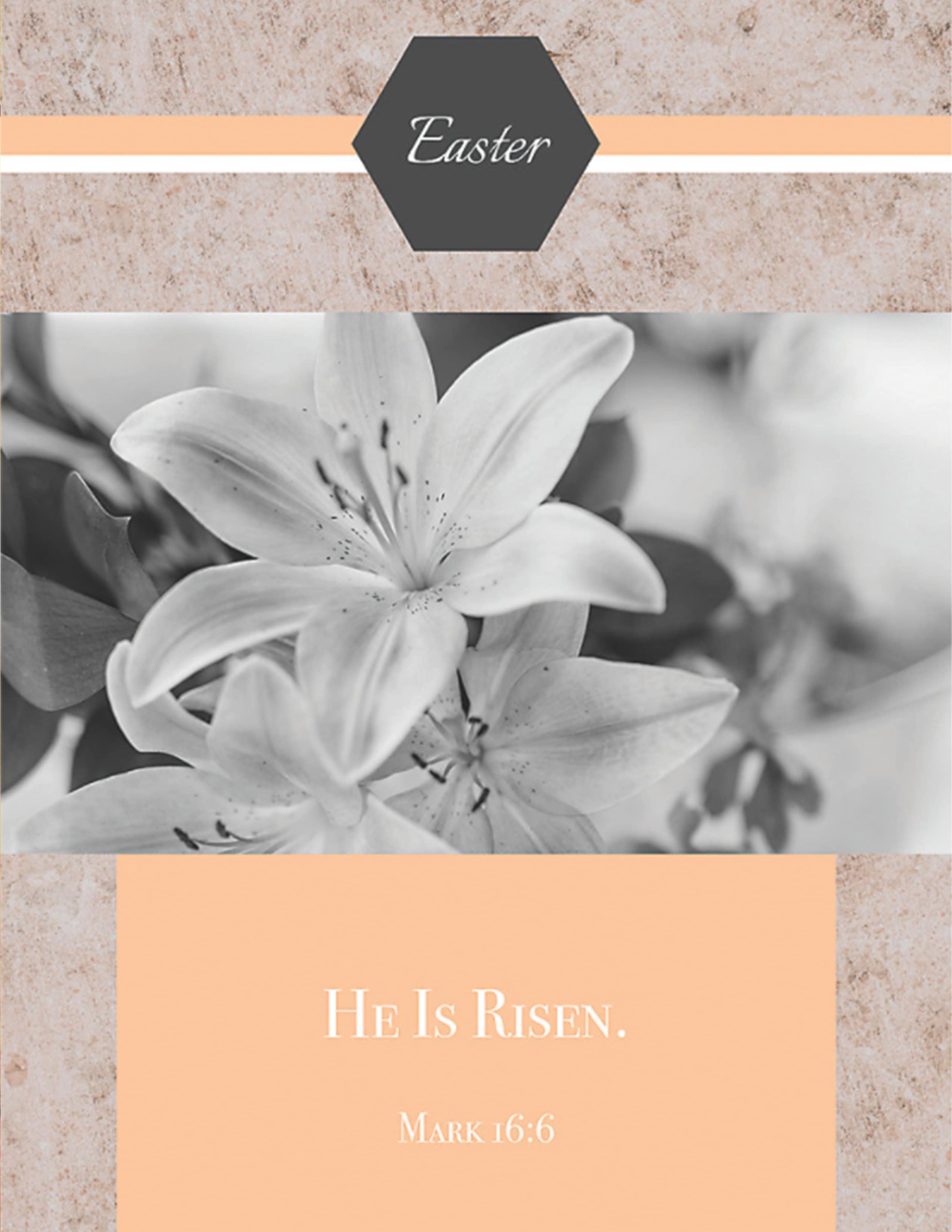 slide 8 of 10 for Digital Church Graphics Package - Lent/Easter  1