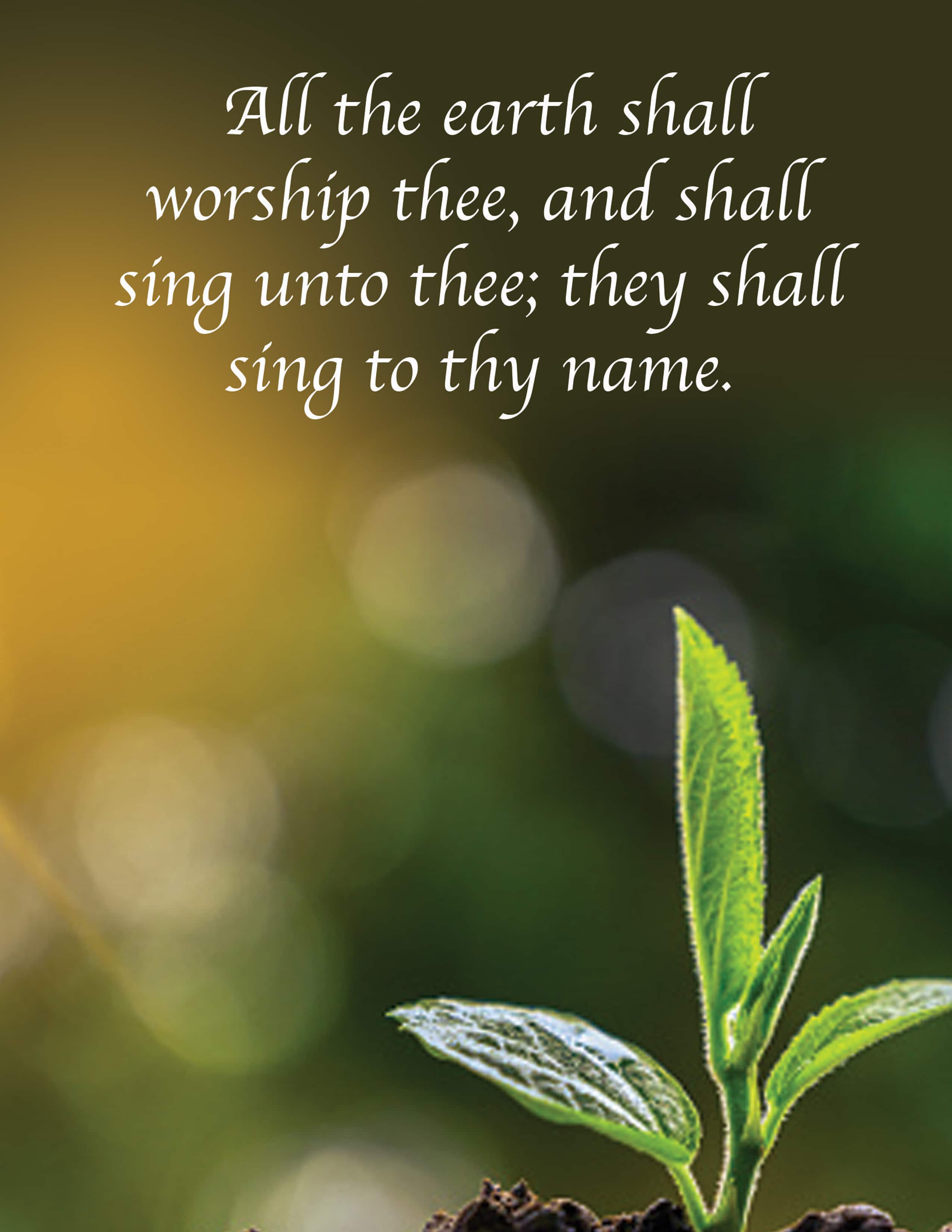 slide 3 of 4 for Digital Church Graphics  Package - Spring 1