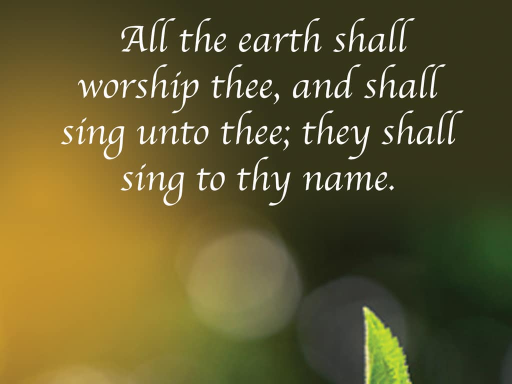 slide 4 of 4 for Digital Church Graphics  Package - Spring 1